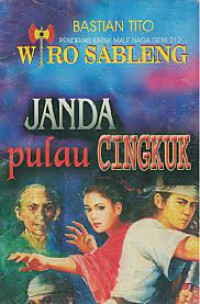 Pendekar Kapak Maut Naga Geni 212 Wiro sableng : Janda Pulau Cengkuk